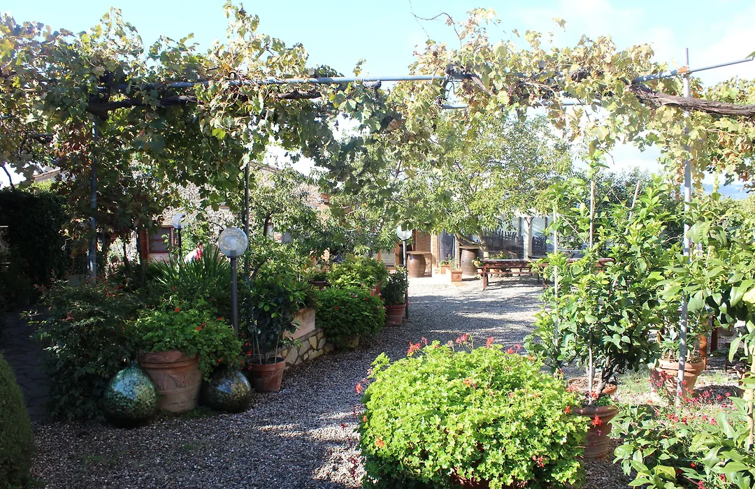 Villa Di Sotto-1